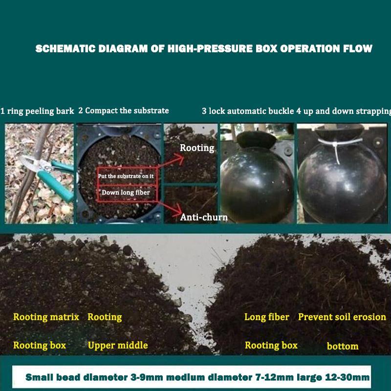 50% OFF--Plant Root Growing Box